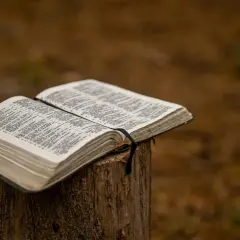 Otwarta Biblia na pniu. Ktoś szuka odpowiedzi, zadając sobie pytanie: Jahwe, kto to?
