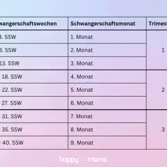 Tabelle zeigt Schwangerschaftswochen, welche SSW welcher Monat ist, und Trimester.