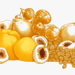 Gros plan sur une pile de fruits secs et frais, dont des figues coupées, des abricots et des raisins secs, des fruits riches en fer pour une alimentation saine.