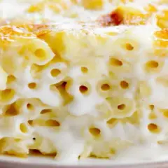 Gratin de pâtes béchamel : recette facile et inratable