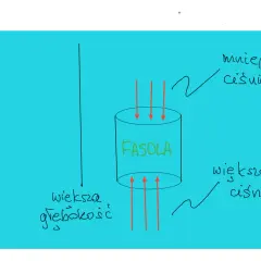 Ilustracja pokazuje cylinder z napisem "FASOLA", na który działają siły spójności. Strzałki wskazują na mniejsze ciśnienie u góry i większe u dołu, co symbolizuje większą głębokość.