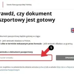 Jak szybko sprawdzić, czy twój paszport jest gotowy do odbioru – krok po kroku