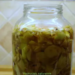 Słoik z kawałkami jabłek i płynem, w którym rozwija się matka octowa. Co z nią zrobić?