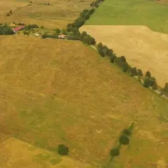 Widok z lotu ptaka na pola uprawne i zadrzewienia. Widać ślady po niwelacji terenu, przygotowujące go pod nowe uprawy.
