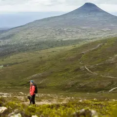 Vandrare med hund njuter av utsikten över berg i dalarna. En bilparkering syns i fjärran.