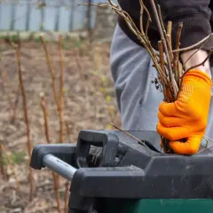 Osoba w pomarańczowych rękawicach wkłada gałęzie do rozdrabniacza do liści, przygotowując ogród do wiosny.