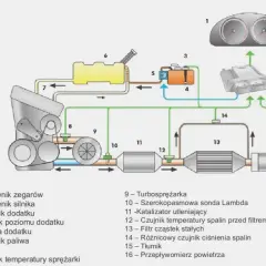 Jak wygląda filtr DPF? Odkryj jego budowę i funkcję w samochodzie