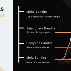 Mujer en postura de yoga, ilustrando Maha Bandha, la combinación de los tres bandhas: Jalandhara (garganta), Uddiyana (vientre) y Mula (perineo).