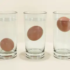 Trois verres d'eau montrent des œufs : un au fond, un flottant au milieu, et un autre flottant à la surface, suggérant des œufs périmés 15 jours.
