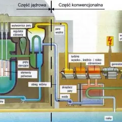 Atom w gniazdku: Jak działa elektrownia jądrowa i czy jest bezpieczna?