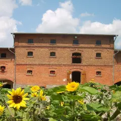 Mniszki Skansen: Odkryj zanikające rzemiosła i lokalną historię