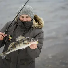 Najlepsze przynęty na sandacza: uniknij nieudanych połowów