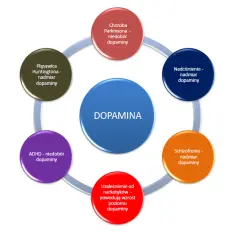 Niedobór dopaminy: Jak rozpoznać objawy i odzyskać energię?