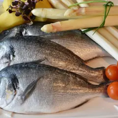 Jakie warzywa do ryby? Odkryj najlepsze połączenia smakowe