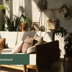 Przytulny salon w stylu boho z dużą ilością roślin, plecionymi dodatkami i miękkimi poduszkami. Słońce tworzy na ścianie ciekawe cienie.