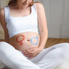 Brzuszek w 20. tygodniu ciąży z namalowanymi symbolami płci. Czerwony symbol Wenus i niebieski symbol Marsa.