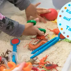 Kinder erforschen mit Spielzeug-Insekten und Reiskörnern eine Sensorik Wanne. Tolle Ideen für spielerisches Lernen und Konzentration auf den Tastsinn.