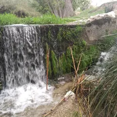 Cascada en un **río chico** con vegetación exuberante y cañas secas. El agua cae sobre rocas y se acumula en un pequeño estanque.