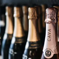 Reihe von Flaschen mit Cava Sekt, die auf eine Feier warten.