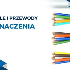 Kolorowe żyły kabli elektrycznych: niebieskie, zielone, pomarańczowe, brązowe, żółte. Stare kolory kabli elektrycznych w przekroju.