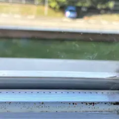 Grzyb na silikonie wokół okna to problem. Jak go trwale usunąć? Widać nalot i pleśń na ramie okiennej.