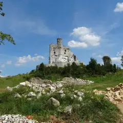 Ruiny zamku Bobolice na wzgórzu, otoczone zielenią i kamieniami.