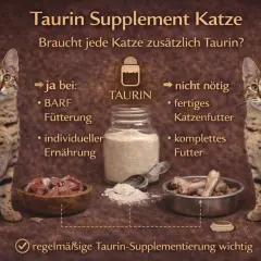 Zwei Katzen flankieren eine Darstellung von Taurin-Pulver. Die Grafik erklärt, wann Taurin für Katzen wichtig ist, z.B. bei BARF-Fütterung.