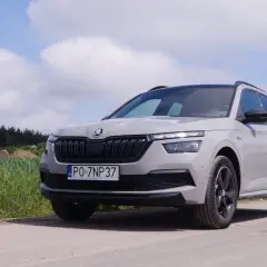 Szary Skoda Kamiq na tle pola i nieba.