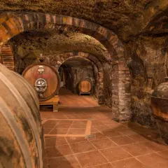 Cantina sotterranea con botti di legno e anfora antica, un viaggio sensoriale a Colle Santa Mustiola.