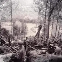 Soldati in trincea, armi e detriti forestali, un paesaggio che evoca il passo del giogo.