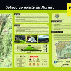 Mapa de senderismo con el mirador Monte Muralla. Incluye perfil de altitud, información sobre la ruta y la ría de Arousa.