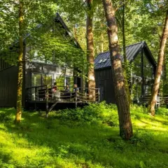 Nowoczesny hotel w lesie, z drewnianymi domkami i tarasem, otoczony zielenią.