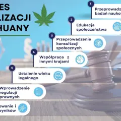 Marihuana w Polsce: Kiedy depenalizacja? Szanse na zmiany 2026
