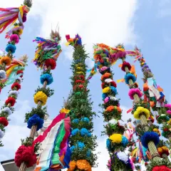 Kolorowe palmy wielkanocne, symbol polskich tradycji, ozdobione bibułą i kwiatami, unoszą się ku błękitnemu niebu.