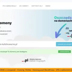 Domena wolna czy zajęta? Sprawdź i zabezpiecz ją!