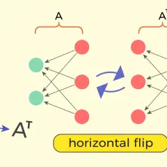 Grafika ilustruje operację "horizontal flip" między dwoma sieciami neuronowymi, gdzie jedna reprezentuje macierz A, a druga jej macierz transponowana Aᵀ.