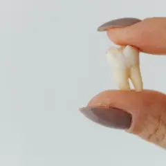 Co dentysta robi z wyrwanym zębem? Oto co musisz wiedzieć