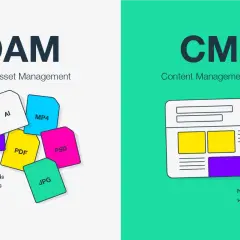 DAM manages all digital assets like PPT, AI, PDF, JPG, PSD, MP4. CMS manages website content.