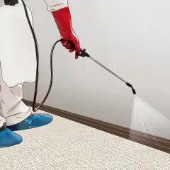 Persona con traje protector y guantes rojos rocía insecticida en la base de una pared para eliminar pulgas en casa.