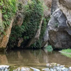 Un remanso de paz entre rocas y vegetación exuberante, un rincón secreto de los **ríos en Almería** donde el agua refleja el verdor.