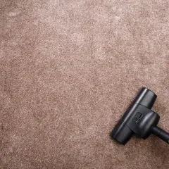 Ein Staubsaugerkopf auf einem beigen Teppich, bereit, den Teppich zu reinigen.