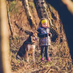 Najlepsze miejsca na spacer z psem w okolicach Warszawy, które musisz znać