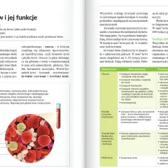 Gdzie znaleźć sprawdziany z Nowej Ery, by skutecznie się uczyć?