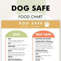 Dog food chart lists safe foods. Safe vegetables for dogs include carrots, green beans, sweet potatoes, broccoli, cucumbers, spinach, and peas.