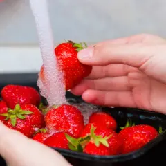 Mani che lavano fragole rosse sotto un getto d'acqua. Un modo semplice per preparare questo delizioso frutto.