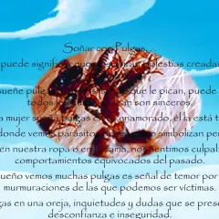 Soñar con pulgas: significado profundo y lo que revela de ti