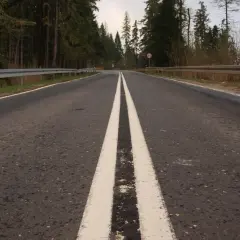 Droga przez las, podwójna ciągła linia sugeruje zakaz **wyprzedzania**.