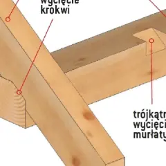 Zacinanie krokwi w dachu dwuspadowym: wycięcie krokwi i trójkątne wycięcie murłaty.