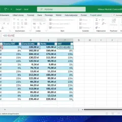 Excel pokazuje, jak odjąć procent, obliczając VAT. Formuła =(D2-B2)/B2 w komórce F2 pokazuje, jak to zrobić.