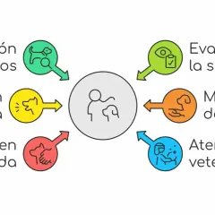Diagrama de pasos: observación, inspección, golpes en espalda, evaluación, Maniobra de Heimlich y atención veterinaria, para saber qué hacer cuando un perro se atraganta.